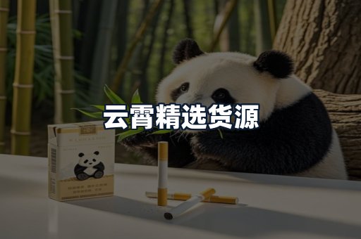 云霄精选货源